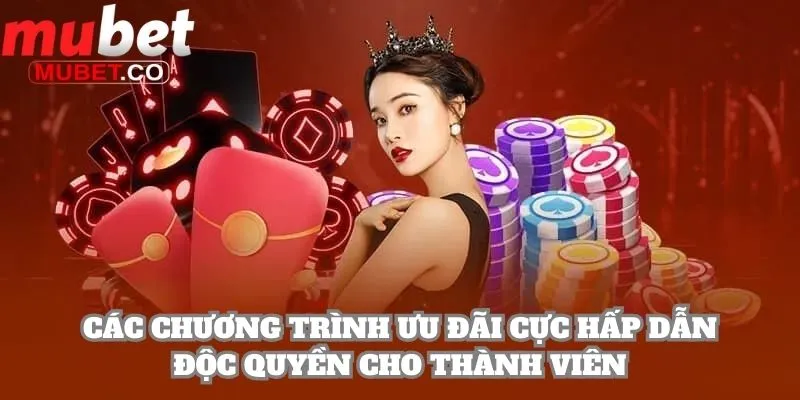 Mubet - Tải App Mubet.com | Kèo Ngon World Cup 2026 19 Các chương trình ưu đãi cực hấp dẫn độc quyền cho thành viên